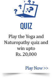 Quiz